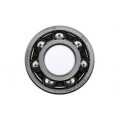 Roller Bearing